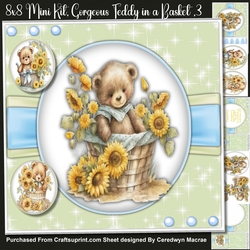 8x8 Mini Kit , Gorgeous Teddy in a Basket ,3