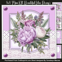8x8 Mini Kit, Beautiful Lilac Peonys