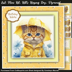 8x8 Mini Kit, Kittys Keeping Dry, Pyramid
