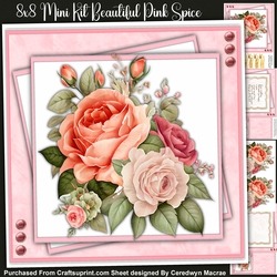 8x8 Mini Kit, Beautiful Pink Spice