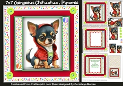 7x7 Mini Kit, Gorgeous Chihuahua , Pyramid