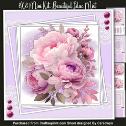 8x8 Mini Kit , Beautiful Lilac Mist