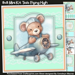 8x8 Mini Kit,  Teds Flying High