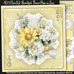 8x8 Mini Kit, Beautiful Floral Posie on Lace