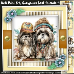 8x8 Mini Kit , Gorgeous Best Friends 4 , Pyramid