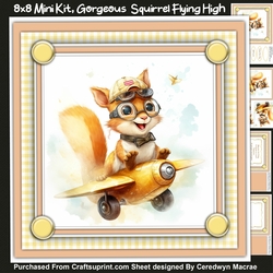 8x8 Mini Kit, Gorgeous Squirrel Flying High , Pyramid