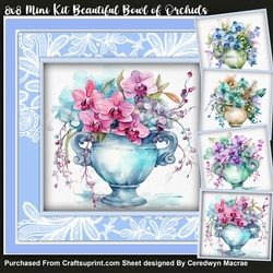 8x8 Mini Kit, Beautiful Bowl of Orchids 