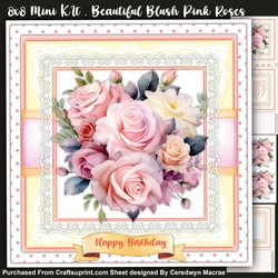 8x8 Mini KIt, Beautiful Blush Pink Roses