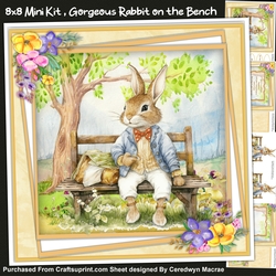 8x8 Mini Kit, Gorgeous Rabbit on The Bench