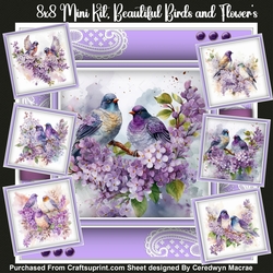 8x8 Mini Kit, Beautiful Birds and Flowers