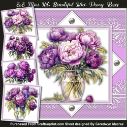 8x8 Mini Kit, Beautiful Lilac Peony Roses