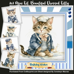 8x8 Mini Kit, Beautiful Dressed Kitty