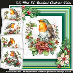 8x8 Mini Kit, Beautiful Christmas Robin