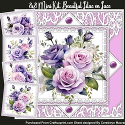 8x8 Mini kit, Beautiful Lilac on Lace 