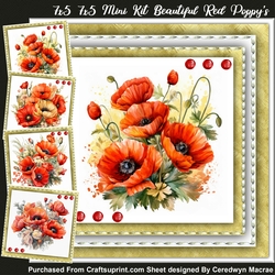 7x5 7x5 Mini Kit Beautiful Red Poppys