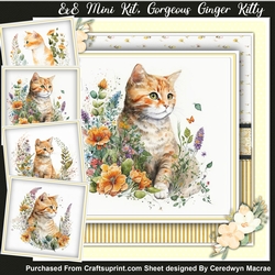 88 Mini Kit , Gorgeous Ginger Kitty