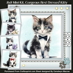 8x8 Mini Kit, Gorgeous Best Dressed Kitty