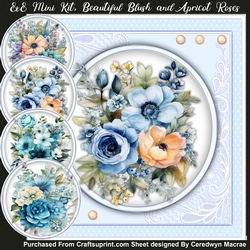 8x8 Mini Kit, Beautiful Blue and Apricot Roses
