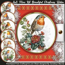 8x8 Mini Kit, Beautiful Christmas Robin