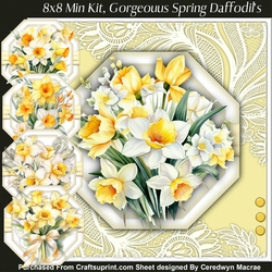 8x8 Mini Kit, Gorgeous Octagonal Spring Daffodils