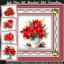 8x8 Mini KIt, Beautiful Red Poinsettias