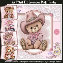 8x8 Mini Kit, Gorgeous Pink Teddys
