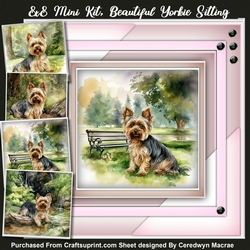 8x8 Mini Kit , Beautiful Yorkie Sitting