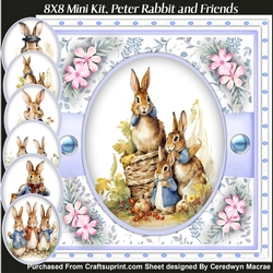 8x8 Mini KIt, Peter Rabbit and Friends