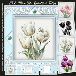 8x8 Mini Kit, Beautiful Tulips