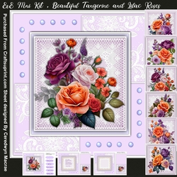 8x8 Mini Kit, Beautiful Tangerine and Lilac Roses