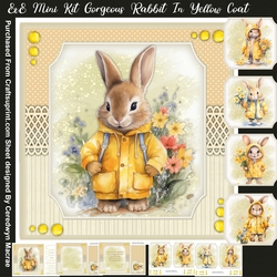 8x8 Mini Kit, Gorgeous Rabbit in Yellow Coat