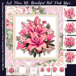 8x8 Mini Kit, Beautiful Hot Pink Lilys