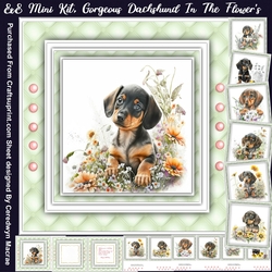 8x8 Mini Kit, Gorgeous Dachshund in the Flowers