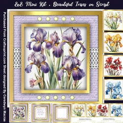8x8 Mini Kit, Beautiful Irises on Script
