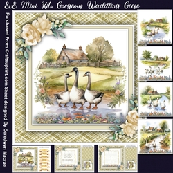 8x8 Mini Kit, Gorgeous Waddling Geese