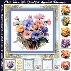 8x8 Mini Kit, Beautiful Assorted Primroses