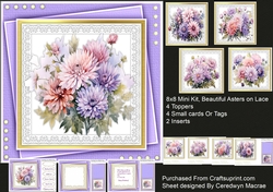 8x8 Mini Kit, Beautiful Asters On Lace 