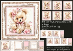 8x8 Mini Kit, Gorgeous Pink Teddy 