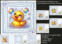 8x8 Mini Kit, Gorgeous Duck In Bubbles