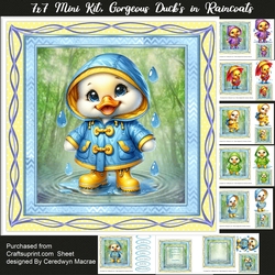 7x7 Mini Kit, Gorgeous Ducks In Raincoats
