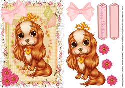 Most Adorable Cavalier