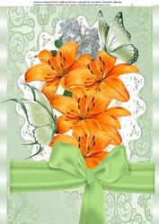 Beautiful A4 Orange Lilies