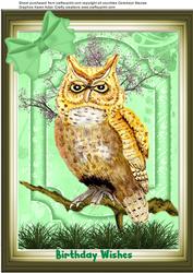 Owl on a Branch