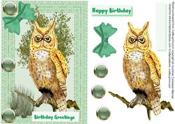 Beautiful A5, Owl