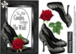 Stunning A5 Black and White Shoes
