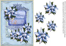 Blue Christmas Pointsettia