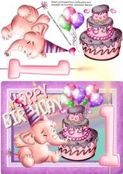 Baby Girls 1st Birthday