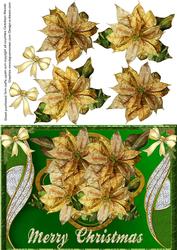 Gold Poinsettias