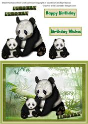 Mother and Baby Panda