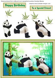 Pandas at Play